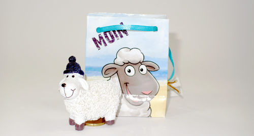 Schaf mit Pudelmütze