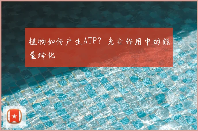 植物如何产生ATP?光合作用中的能量转化