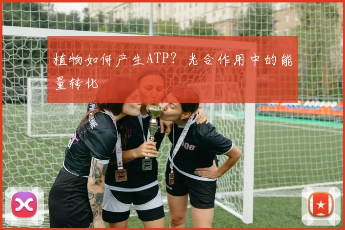 植物如何产生ATP?光合作用中的能量转化