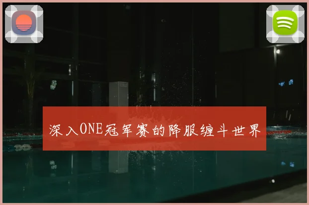 深入ONE冠军赛的降服缠斗世界