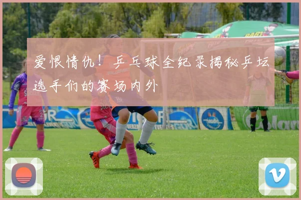 爱恨情仇!乒乓球全纪录揭秘乒坛选手们的赛场内外