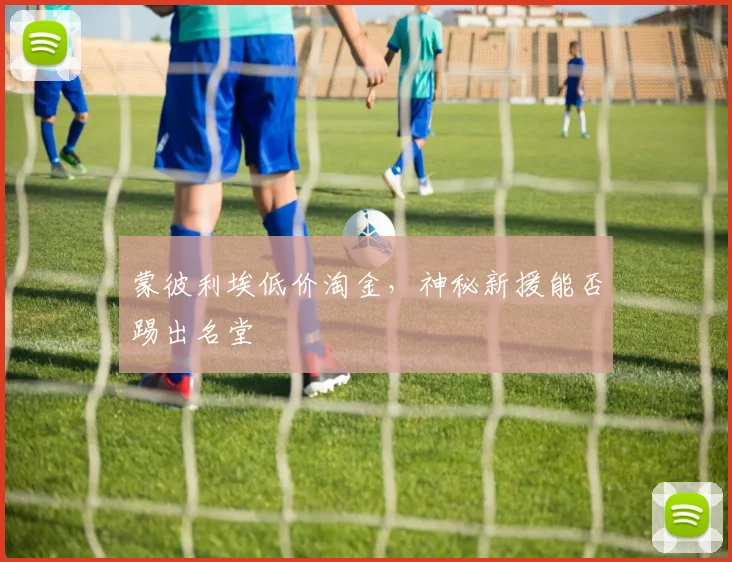 蒙彼利埃低价淘金,神秘新援能否踢出名堂