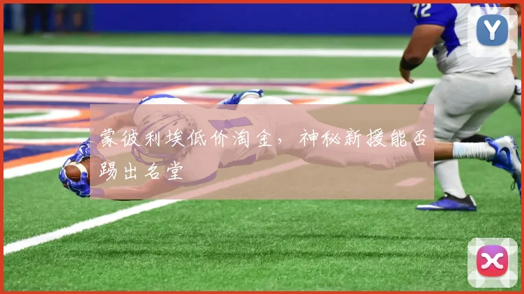 蒙彼利埃低价淘金,神秘新援能否踢出名堂