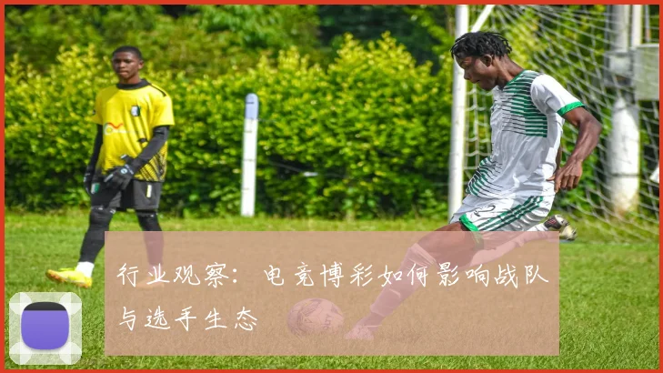 行业观察：电竞博彩如何影响战队与选手生态