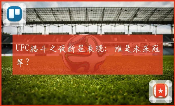 UFC格斗之夜新星表现：谁是未来冠军？