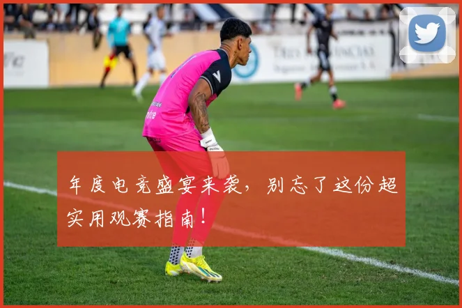 年度电竞盛宴来袭，别忘了这份超实用观赛指南！