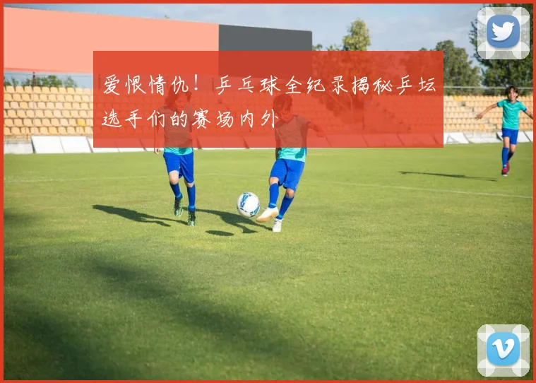 爱恨情仇!乒乓球全纪录揭秘乒坛选手们的赛场内外