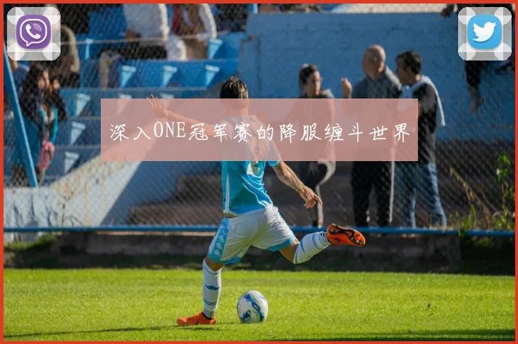 深入ONE冠军赛的降服缠斗世界