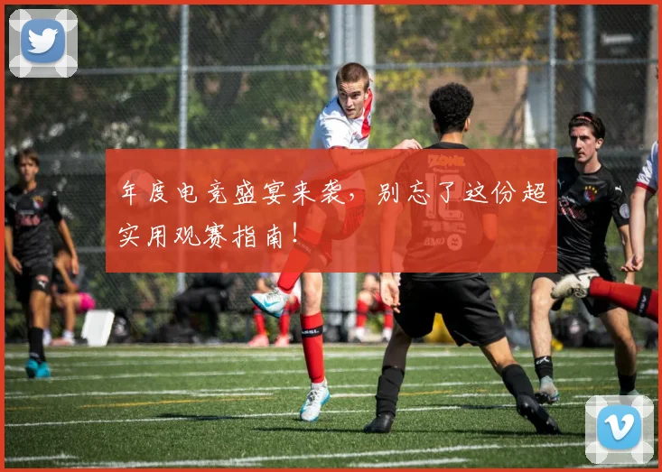 年度电竞盛宴来袭，别忘了这份超实用观赛指南！