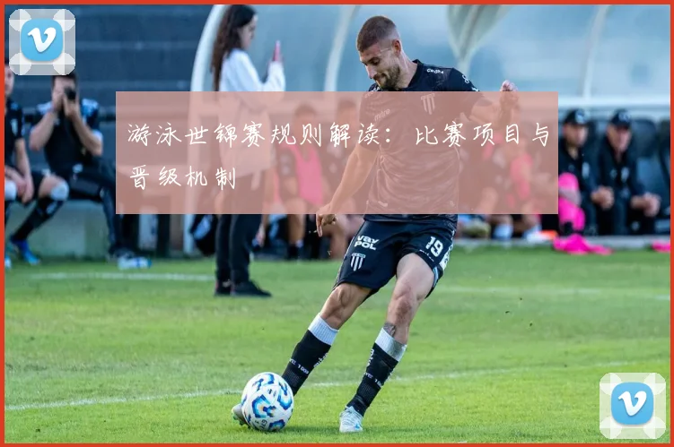 游泳世锦赛规则解读：比赛项目与晋级机制