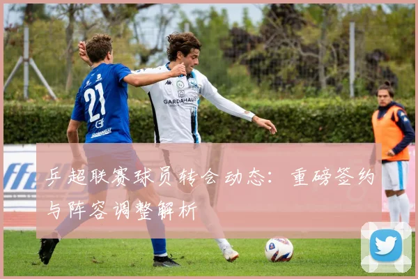 乒超联赛球员转会动态：重磅签约与阵容调整解析