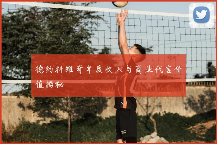 德约科维奇年度收入与商业代言价值揭秘