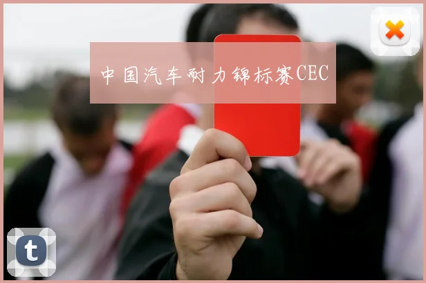 中国汽车耐力锦标赛CEC